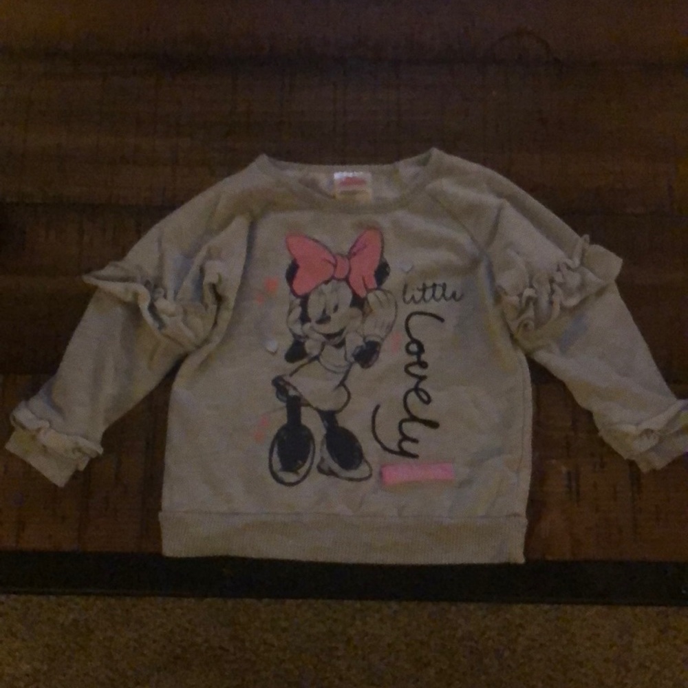 Gray Sweatshirt